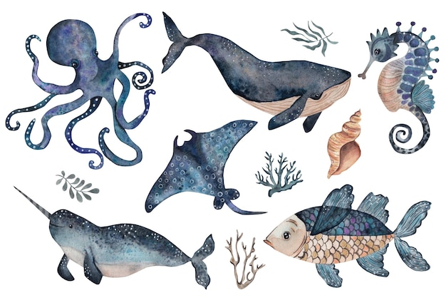 Conjunto de animales marinos ilustraciones en acuarela aisladas sobre un fondo blanco