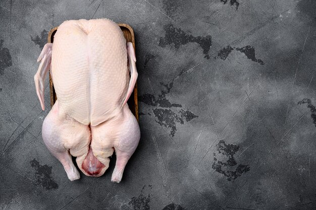 Conjunto de carne de pato entera cruda, sobre fondo de mesa de piedra gris, vista superior plana, con espacio para copiar texto