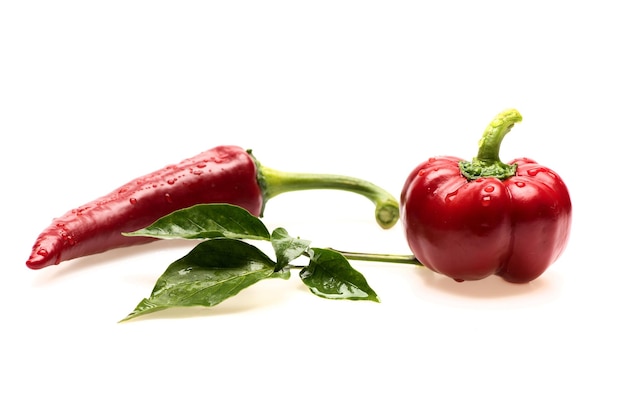 Conjunto de chiles rojos picantes en primer plano. Chile picante mexicano de forma alargada. Ají de color ______ aislado sobre fondo blanco. Verduras y concepto de dieta vegetariana. / Agricultura y fresco