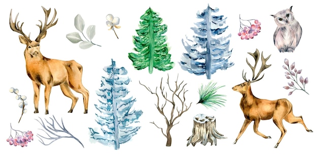 Conjunto de ciervos y plantas forestales ilustración acuarela aislada sobre fondo blanco