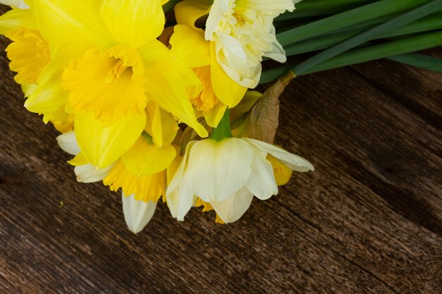 Conjunto de coloridas flores recién cortadas