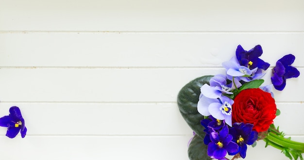 Conjunto de coloridas flores recién cortadas