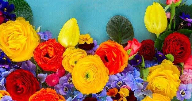 Conjunto de coloridas flores recién cortadas