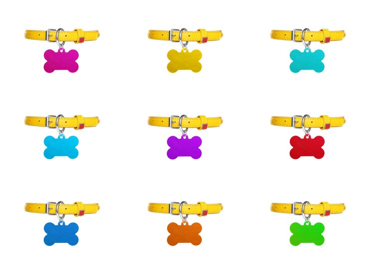 Foto conjunto com coleiras de cachorro com etiquetas multicoloridas em forma de osso no fundo branco