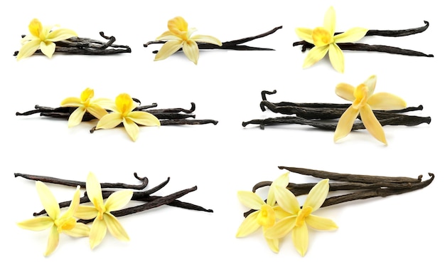 Conjunto com vagens de baunilha aromáticas e flores em fundo branco
