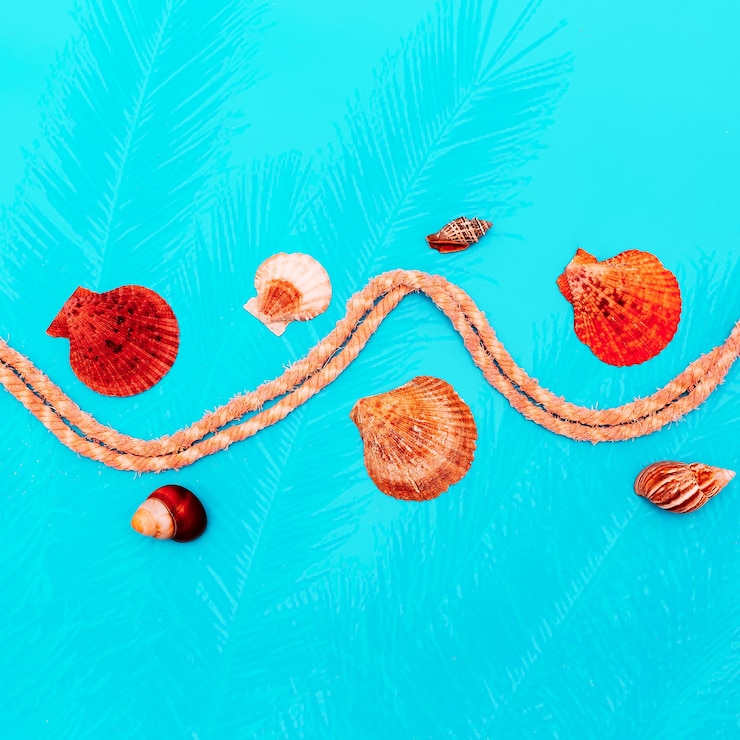 Foto conjunto de conchas marinas y cuerda. colores pastel. mínimo