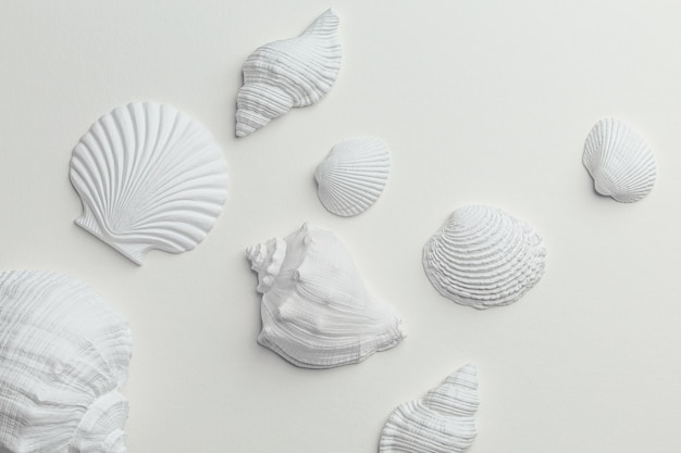 Conjunto de conchas marinas surtidas monocromáticas blancas en la vista superior de papel blanco. Diferentes conchas blancas desde arriba, concepto de playa de verano mar tranquilo y relajado. Spa y resort