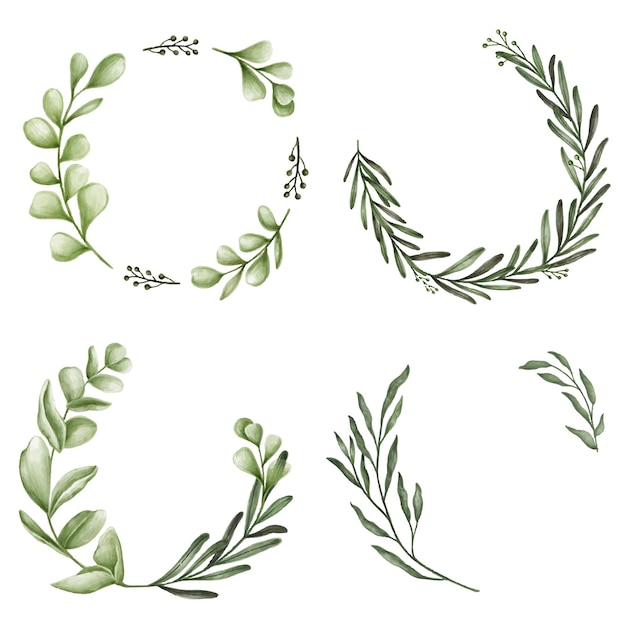 Conjunto de coronas florales png transparente