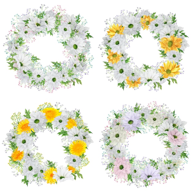 Conjunto de cuatro coronas de flores de acuarela dibujadas a mano con crisantemo