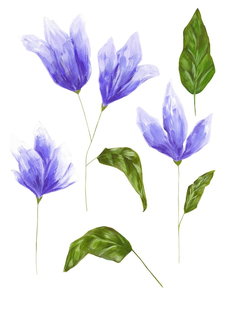 Conjunto de 5 elementos botânicos acrílicos isolados em fundo branco Flores azuis e folhas verdes