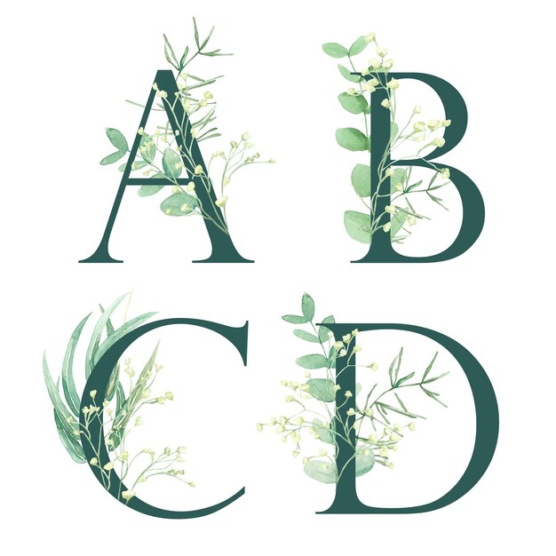 Foto conjunto de alfabetos florais letras a b c d as letras do alfabeto são de verde escuro