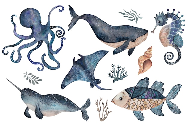 Foto conjunto de animais marinhos ilustração de aquarela isolado em fundo branco