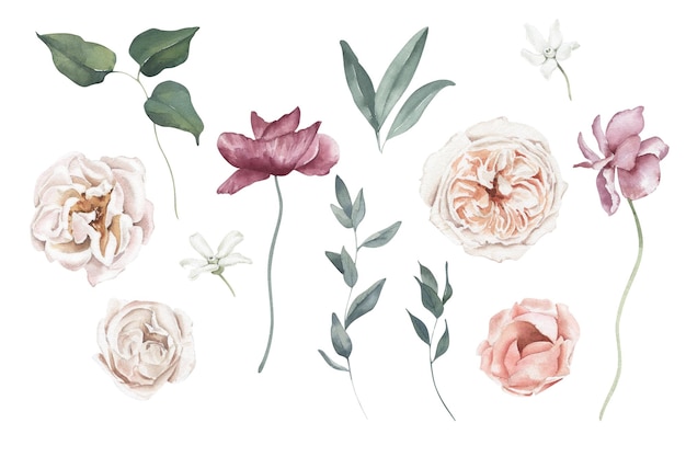 Conjunto de aquarela com rosas papoulas e folhagens