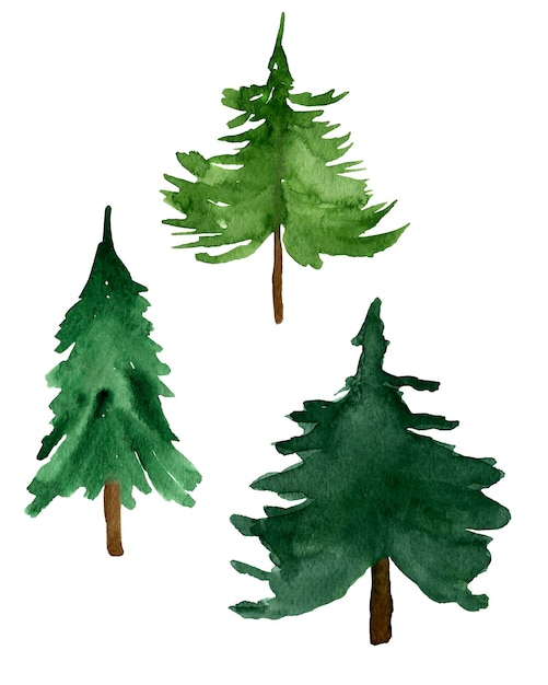 Conjunto de aquarela de natal de floresta de pinheiros