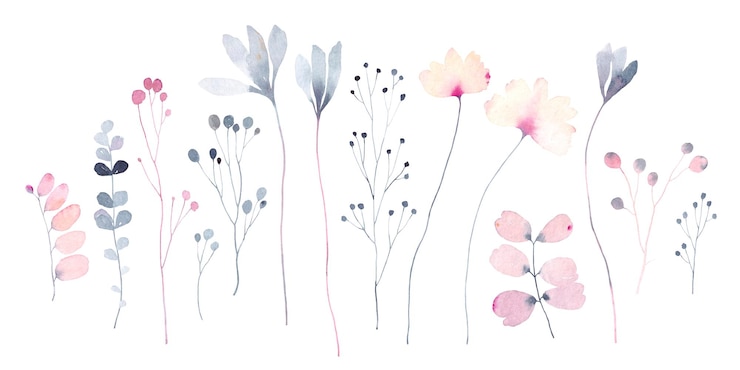 Foto conjunto de aquarelas com flores abstratas folhas e galhos coleção floral de flores silvestres isolada em fundo branco