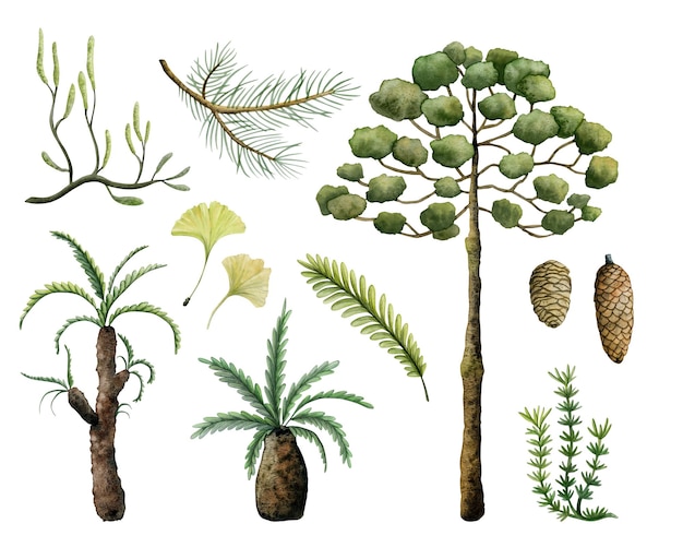 Conjunto de aquarelas de plantas antigas pré-históricas e árvores da era dos dinossauros isoladas em branco