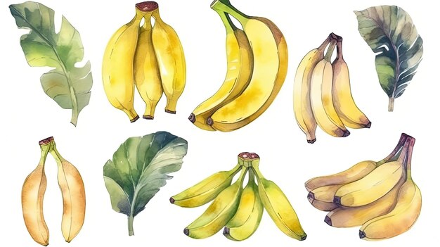 Conjunto de bananas em aquarela generativa ai