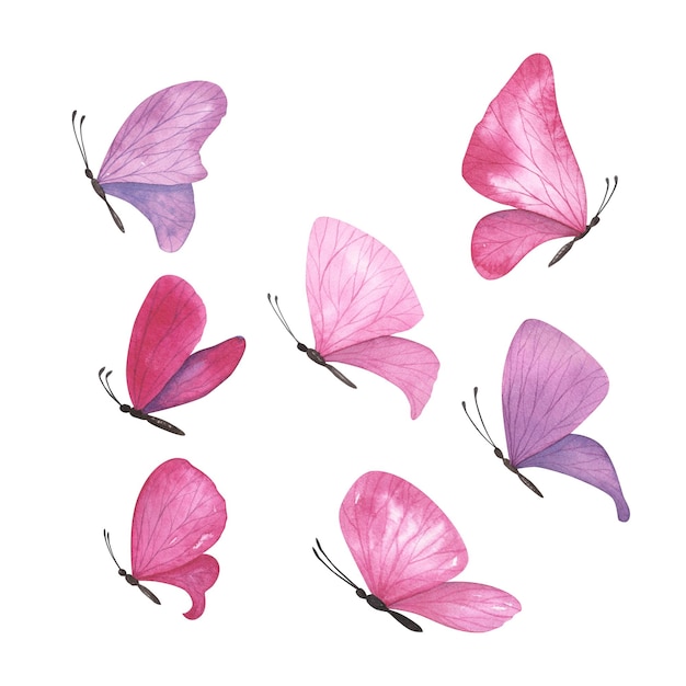 Foto conjunto de borboleta roxa magenta com asas detalhadas isoladas ilustração realista de insetos desenhados à mão em aquarela para design