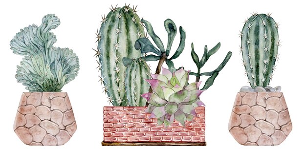 Foto conjunto de cactos e suculentas em vasos de barro plantas caseiras ilustração em aquarela alta qualidade