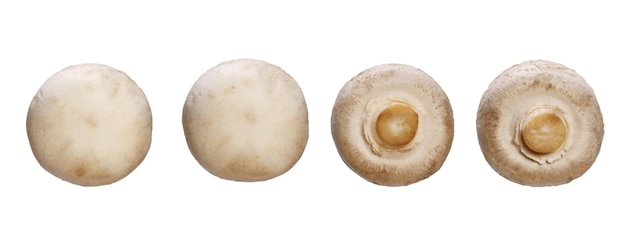 Conjunto de champignons naturais isolados no fundo branco