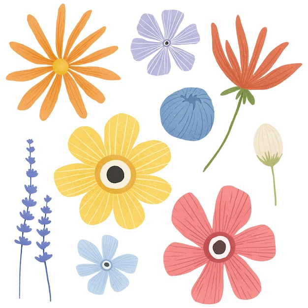 Conjunto de elementos de design de flores coloridas png transparente