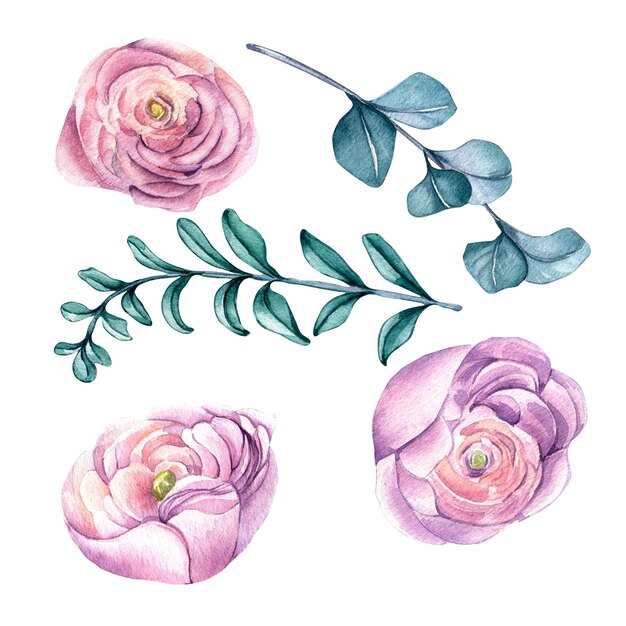 Conjunto de flores cor de rosa com ilustração em aquarela de folhas verdes isoladas