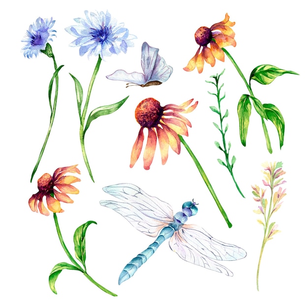 Conjunto de flores do prado borboleta libélula ilustração em aquarela isolada