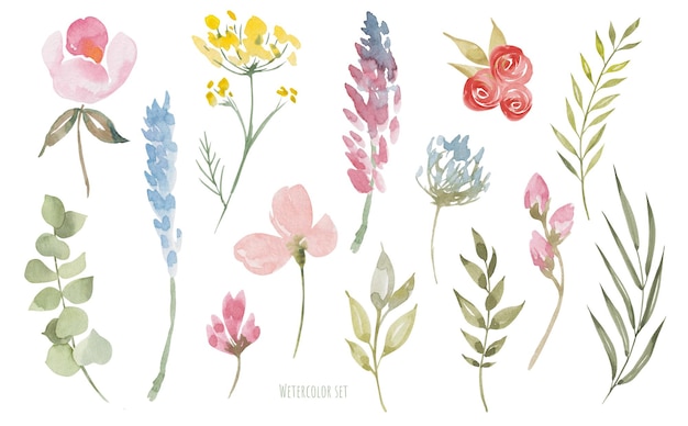 Conjunto de flores e folhas em aquarela ilustração botânica gratuita feita à mão para cartão