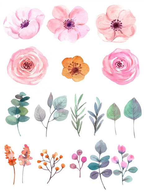 conjunto de flores em aquarela em branco