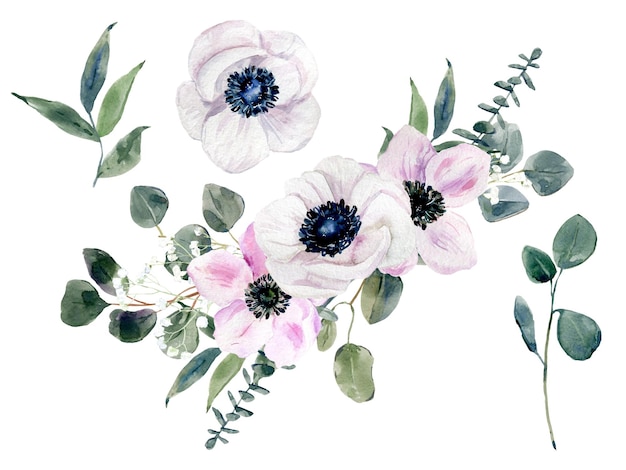 Foto conjunto de flores em aquarela pintadas à mão anêmonas e buquê de eucalipto ilustração botânica em aquarela