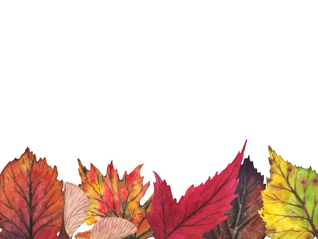 Conjunto de folhas de outono coloridas Ilustração em aquarela