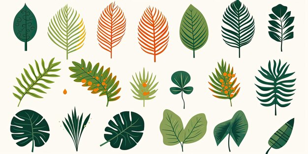 Conjunto de folhas de plantas em estilo aquarela Plantas da selva Folhas brilhantes e suculentas