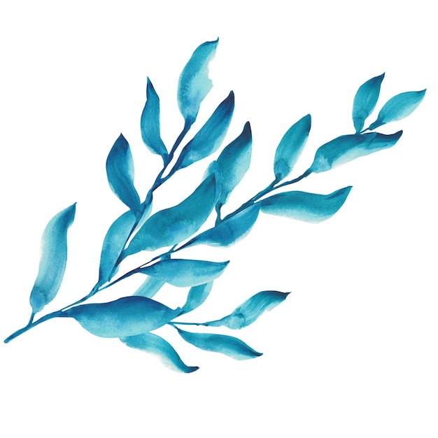Conjunto de folhas e galhos azuis Ilustração em aquarela Elementos de design floral