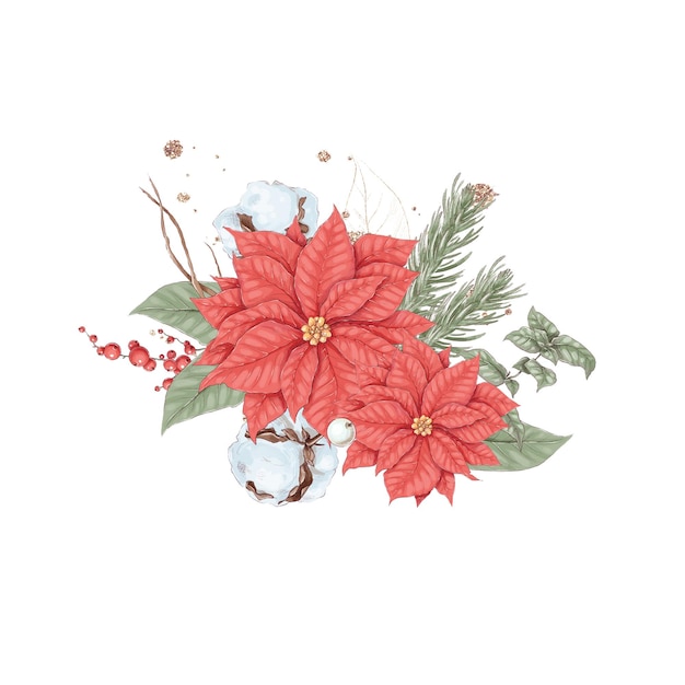 Conjunto de ilustração de natal de buquê de flores de inverno poinsétia algodão e laranja