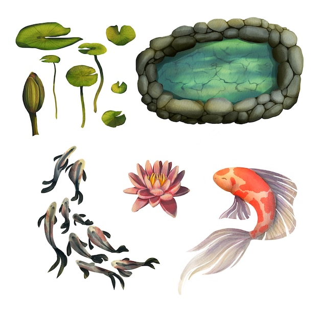 Conjunto de lagoa de jardim Ilustração em aquarela com nenúfar de peixe koi Aquarela