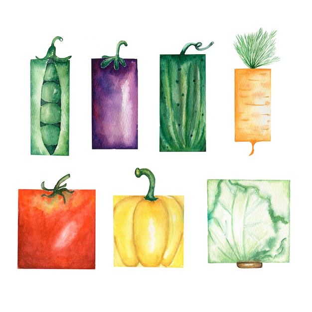 Conjunto de legumes em aquarela jardim