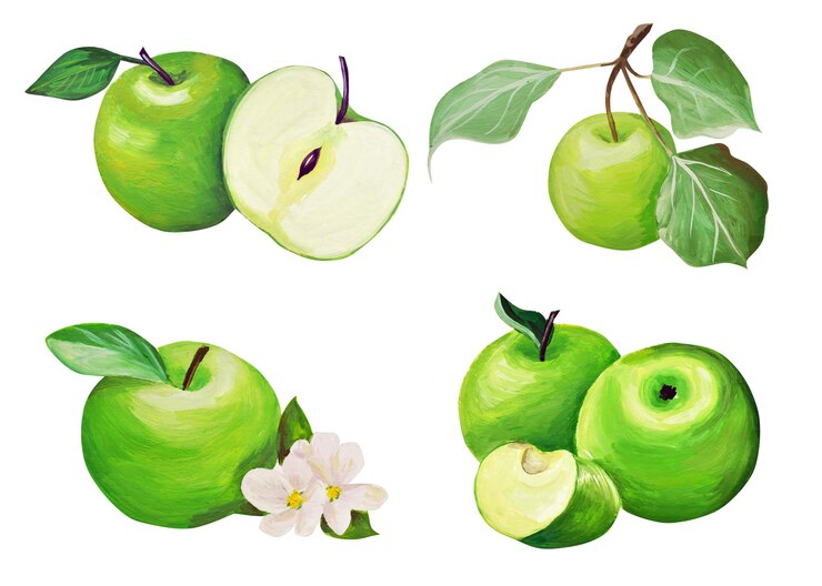 Foto conjunto de maçãs. desenho à mão. frutas delicadas são desenhadas e isoladas com guache em um estilo realista.