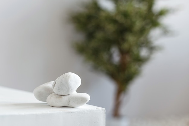 Conjunto de pedras brancas em uma mesa branca sobre uma árvore.