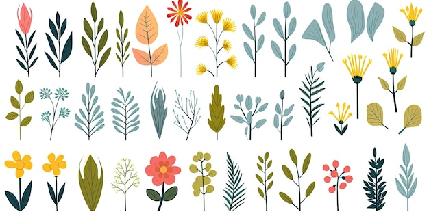 conjunto de plantas flores folhas em um estilo plano em um fundo branco