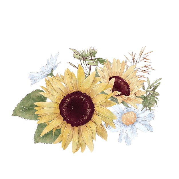Conjunto de ramos e folhas de flores de girassóis bonitos. Ilustração em aquarela