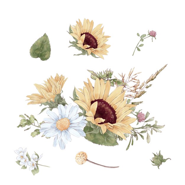 Conjunto de ramos e folhas de flores de girassóis bonitos. Ilustração em aquarela