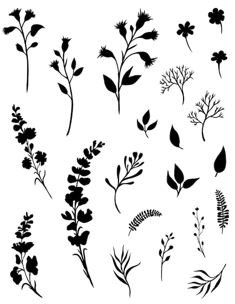 Conjunto de silhuetas de flores silvestres desenhadas à mão isoladas em fundo branco