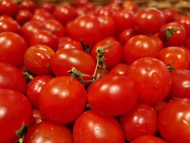 Conjunto de tomates vermelhos
