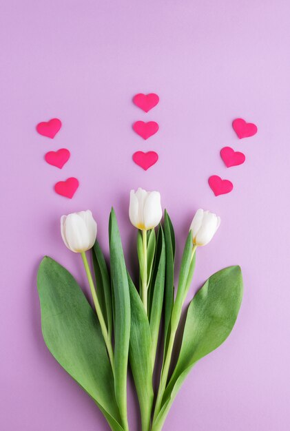 Conjunto de três tulipas brancas com corações em fundo rosa.