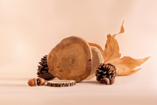 Conjunto de decoración de podios de madera y hojas de otoño sobre fondo beige