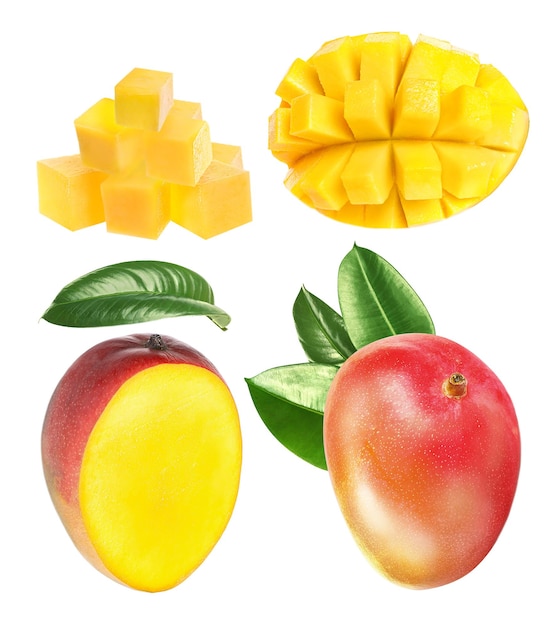 Foto conjunto con deliciosos mangos maduros sobre fondo blanco.