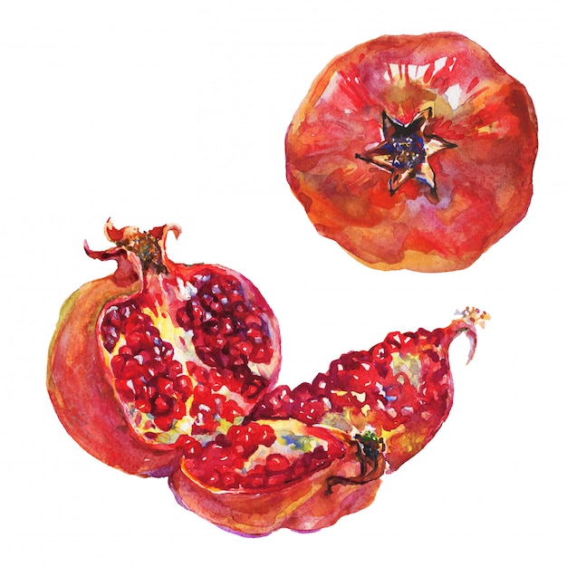 Foto conjunto dibujado a mano de granada madura y entera. fruta fresca acuarela aislada