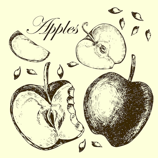 conjunto, de, dibujo, manzanas, ilustraciones