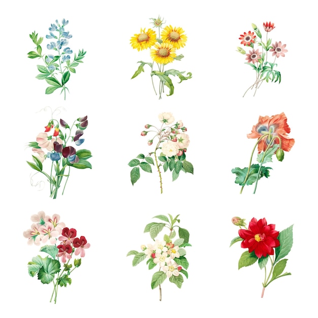 Conjunto de elementos de diseño de superposición de pegatinas de flores
