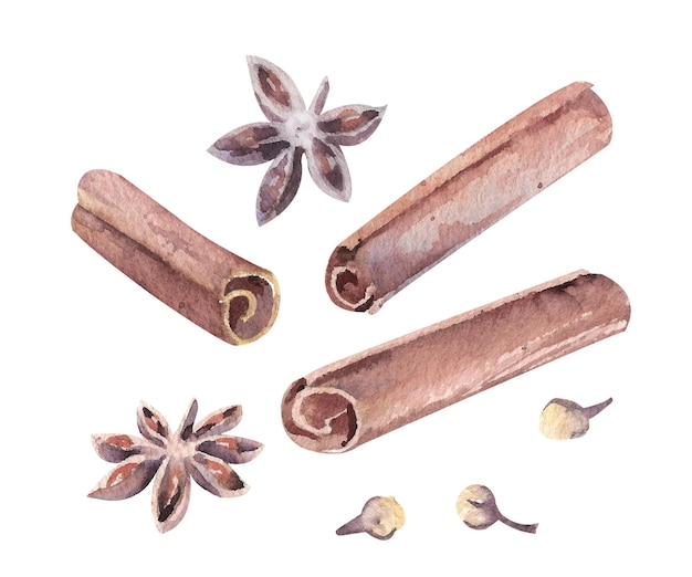 Conjunto de especias y hierbas de acuarela ahogada a mano para hornear canela, clavos de anís estrella en blanco